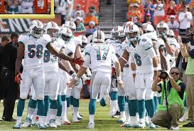 Dolphins 2