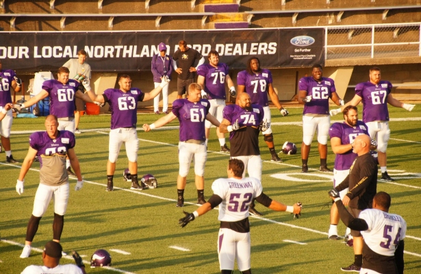 minnesota vikings