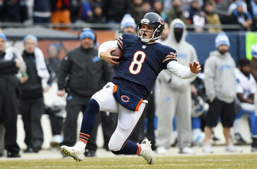 chicago bears